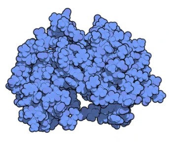 Mitogen-Activated Protein Kinase Kinases (MEKs/MKKs) - Creative BioMart